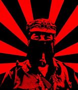 Image result for Subcomandante Marcos Funny