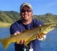 Image result for Montana Trout