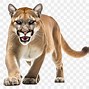 Image result for Go Cougs Clip Art