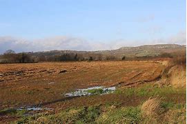 Image result for Arable Island