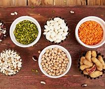 Image result for Beans Legumes and Lentils