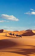 Image result for Camel Caravan Sphinx Wallpaper