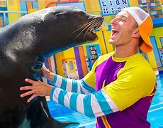 Image result for SeaWorld Sea Lion Show