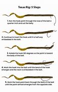 Image result for How to Tie a Texas Rig