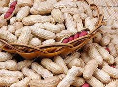 Image result for Peanut Grain