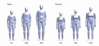 Image result for 3D Human CAD Model