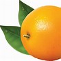 Image result for Orange Done Check Free Clip Art