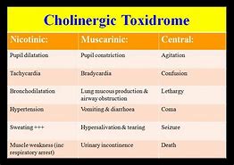 Image result for Dumbbells Anticholinergic