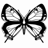 Image result for Flower Clip Art Black and White Butterfly