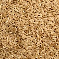 Image result for Unhulled Oat Groats