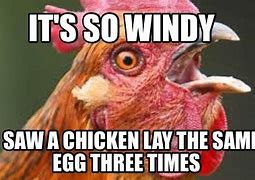 Image result for Windy Chicken Meme