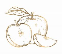 Image result for Sketch Image of Apple