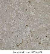 Image result for Shell Limestone Silver Salt