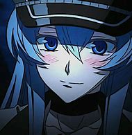 Image result for Esdeath Character Design