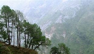 Image result for Triund Dharamshala