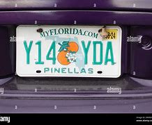 Image result for Florida License Plate