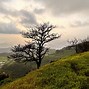 Image result for Rajmachi Fort View