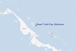 Image result for Green Turtle Cay Bahamas