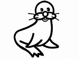 Image result for Sea Lion PFP