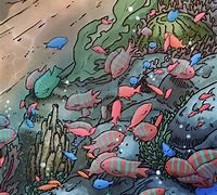 Image result for Coral Reef Illustration Landscape