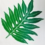 Image result for Lauae Fern Leaf Outline