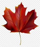 Image result for Red Leaves Clip Art