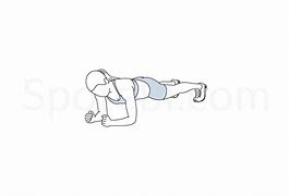 Image result for Plank Workout