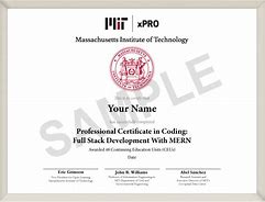 Image result for MIT Certificate