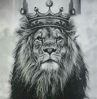 Image result for Lion Crown