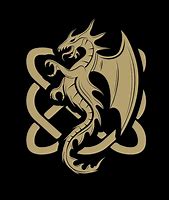 Image result for Irish Celtic Dragon