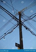 Image result for Pole Trap Electrical