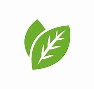 Image result for Leaf Logo HD