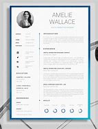 Image result for Creative Resume Samples