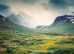 Image result for Tundra Desktop Wallpaper