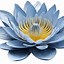 Image result for Lily Flower Tattoos On Wrist