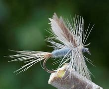 Image result for Fly Fishing Flies