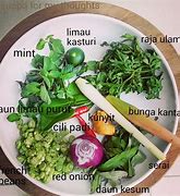 Image result for Daun Ulam Raja