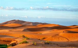 Image result for Sahara Sand Dunes