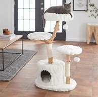 Image result for Wood Cat Tree