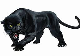 Image result for Black Panther Jumping through American Flag