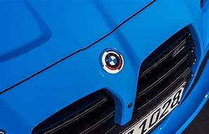 Image result for BMW Badge Replacement