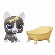 Image result for Little Pet Shop Blind Bags