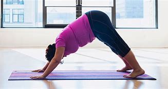 Image result for Yoga Asanas for Beginners