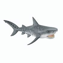 Image result for Tiger Shark Toys