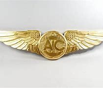 Image result for Pilot Aircrew Wings