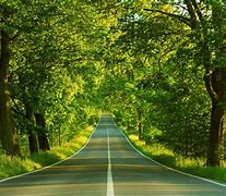 Image result for Beautiful Green Landscape