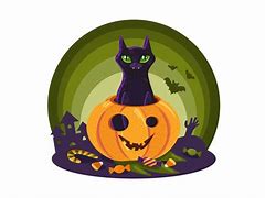 Image result for Hallowen Cat Pumpkin