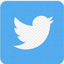 Image result for Twitter Logo Without Background