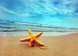 Image result for Beach Path Wallpapaer