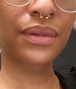 Image result for Human Body Septum